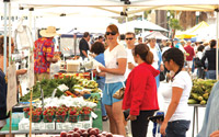 Farmers Market Mercato