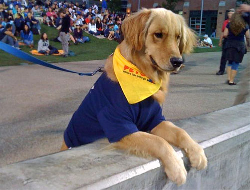 Guinness World Record at Petco Park