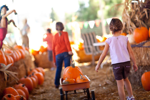 Best Fall Activities in San Diego