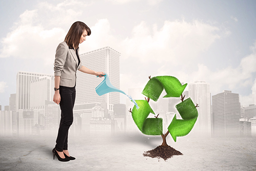 Make Your Penthouse Environmentally Friendly San Diego