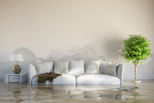 What to Do when Your Condo Unit Floods in San Diego