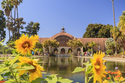 How Do They Compare: Balboa Park vs. Central Park in San Diego