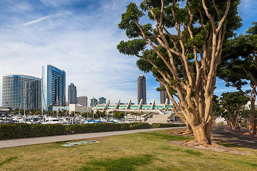 Top Spots for Running in San Diego’s Downtown Districts
