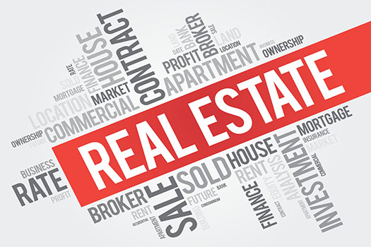 Real Estate Consultant In Mesquite, Texas