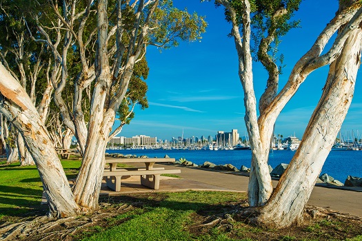 Spots for Relaxing in San Diego’s Downtown Districts in San Diego, CA