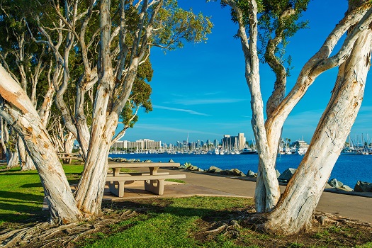 Spots for Relaxing in San Diego’s Downtown Districts in San Diego, CA